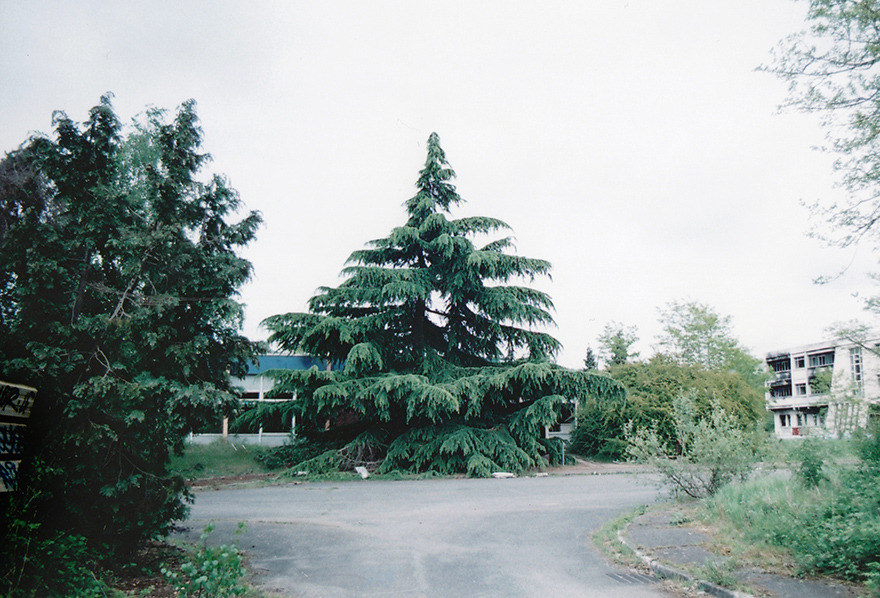 35mm